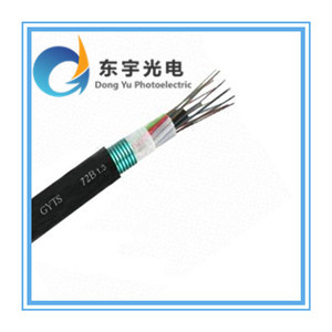 江蘇東宇光電科技西安GYTS-8B1鎧裝光纜熱銷，助力光纖通信網絡發展