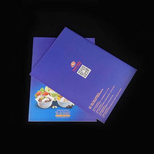彩源印刷 公司畫(huà)冊(cè)印刷設(shè)計(jì)的懷化首選，品質(zhì)鑄就信賴